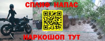 каннабис Донской