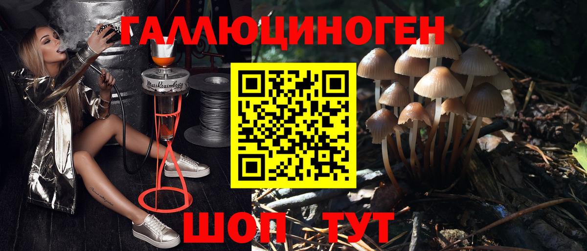 Магадан  Галлюциногенные грибы MAGIC MUSHROOMS  купить наркоту  Вход с VPN 